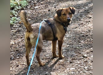 Ebby braucht ein neues Zuhause