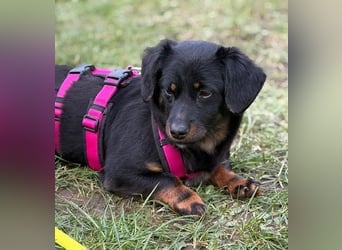 ❤️ Skadi Pflegefamilie Erkelenz