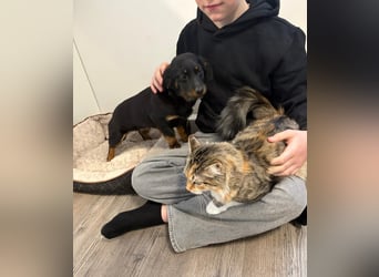 ❤️ Skadi Pflegefamilie Erkelenz