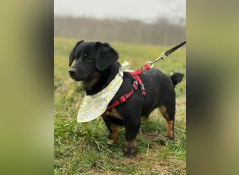 ❤️ Skadi Pflegefamilie Erkelenz