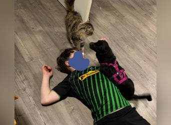 ❤️ Skadi Pflegefamilie Erkelenz