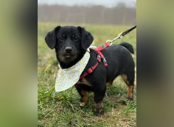 ❤️ Skadi Pflegefamilie Erkelenz