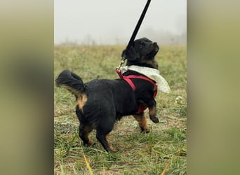 ❤️ Skadi Pflegefamilie Erkelenz