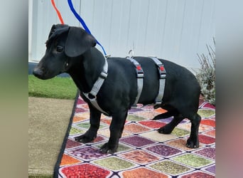 Sonnenschein Martin sucht seine Menschen