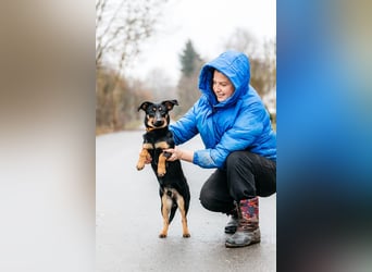 Verschmuster Rudi sucht seine Menschen