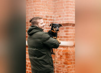 Verschmuster Rudi sucht seine Familie