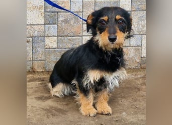 Jette ein Engel zum Verlieben