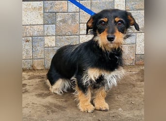 Jette ein Engel zum Verlieben