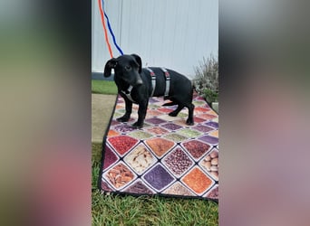 Sonnenschein Martin sucht seine Menschen