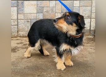 Jette ein Engel zum Verlieben