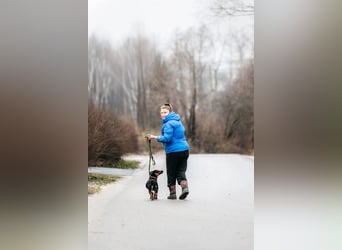 Verschmuster Rudi sucht seine Familie