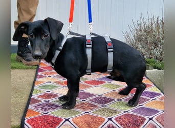 Sonnenschein Martin sucht seine Menschen