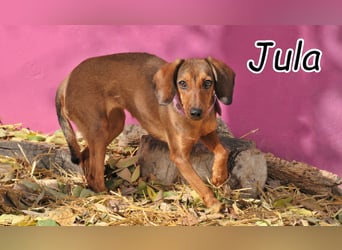 Darf Jula bei dir ankommen?