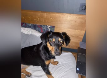 Jasia: Eine kleine Prinzessin wünscht sich ein Zuhause