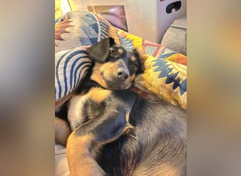 Jasia: Eine kleine Prinzessin wünscht sich ein Zuhause