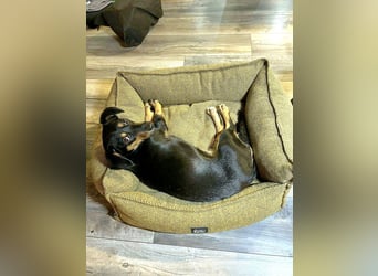 Jasia: Eine kleine Prinzessin wünscht sich ein Zuhause