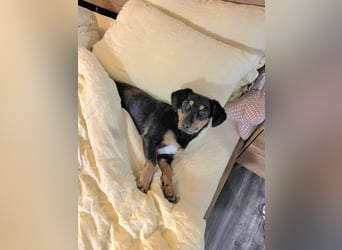 Jasia: Eine kleine Prinzessin wünscht sich ein Zuhause