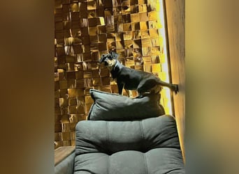 Jasia: Eine kleine Prinzessin wünscht sich ein Zuhause