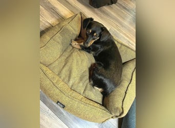 Jasia: Eine kleine Prinzessin wünscht sich ein Zuhause