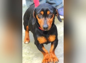 JACK wartet sehnsüchtig auf seine Menschen