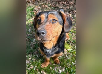 Tilly ❤️ wartet in 48153 Münster auf deinen Besuch