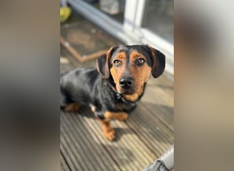 Tilly ❤️ wartet in 48153 Münster auf deinen Besuch