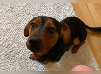 Tilly ❤️ wartet in 48153 Münster auf deinen Besuch