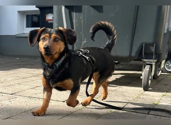 Tilly ❤️ wartet in 48153 Münster auf deinen Besuch