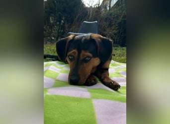 Tilly ❤️ wartet in 48153 Münster auf deinen Besuch