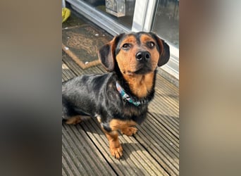 Tilly ❤️ wartet in 48153 Münster auf deinen Besuch