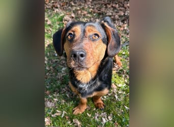 Tilly ❤️ wartet in 48153 Münster auf deinen Besuch