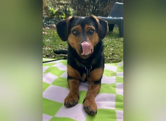 Tilly ❤️ wartet in 48153 Münster auf deinen Besuch