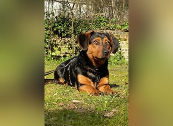 Tilly ❤️ wartet in 48153 Münster auf deinen Besuch