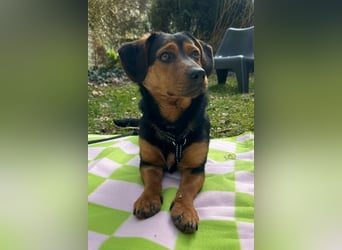 Tilly ❤️ wartet in 48153 Münster auf deinen Besuch