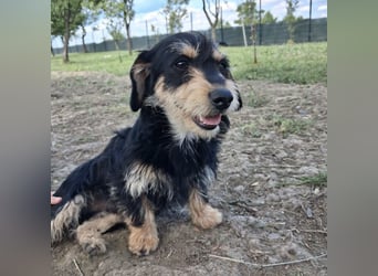 Pepy ein kleiner Schatz