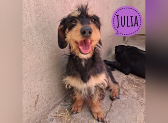 Julia eine sanfte Seele