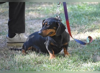 Archer