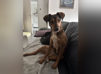 Rizza ein Gute-Laune-Bringer