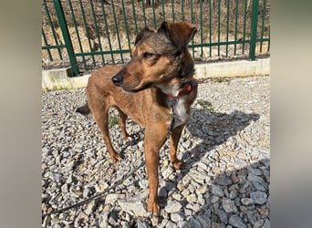 Rizza ein Gute-Laune-Bringer