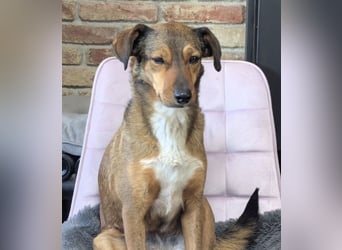 Rizza ein Gute-Laune-Bringer