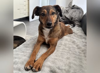 Rizza ein Gute-Laune-Bringer