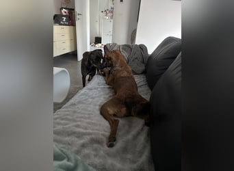 Rizza ein Gute-Laune-Bringer