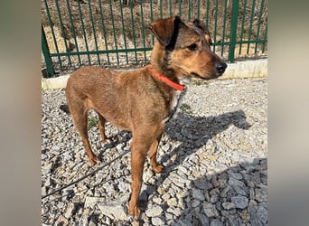 Rizza ein Gute-Laune-Bringer