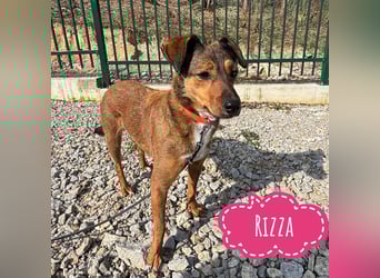 Rizza ein Gute-Laune-Bringer