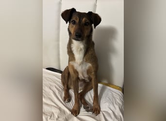 Rizza ein Gute-Laune-Bringer