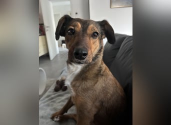 Rizza ein Gute-Laune-Bringer