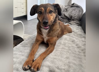 Rizza ein Gute-Laune-Bringer