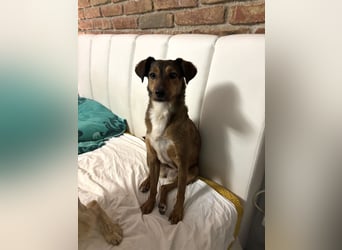 Rizza ein Gute-Laune-Bringer