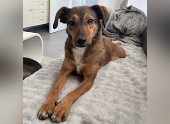 Rizza ein Gute-Laune-Bringer