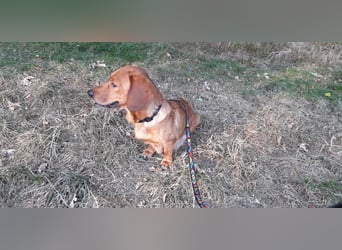 Aurelia - Aus ihrer Liebe wurden sieben Wunder - jetzt braucht Aurelia ein Wunder für sich!